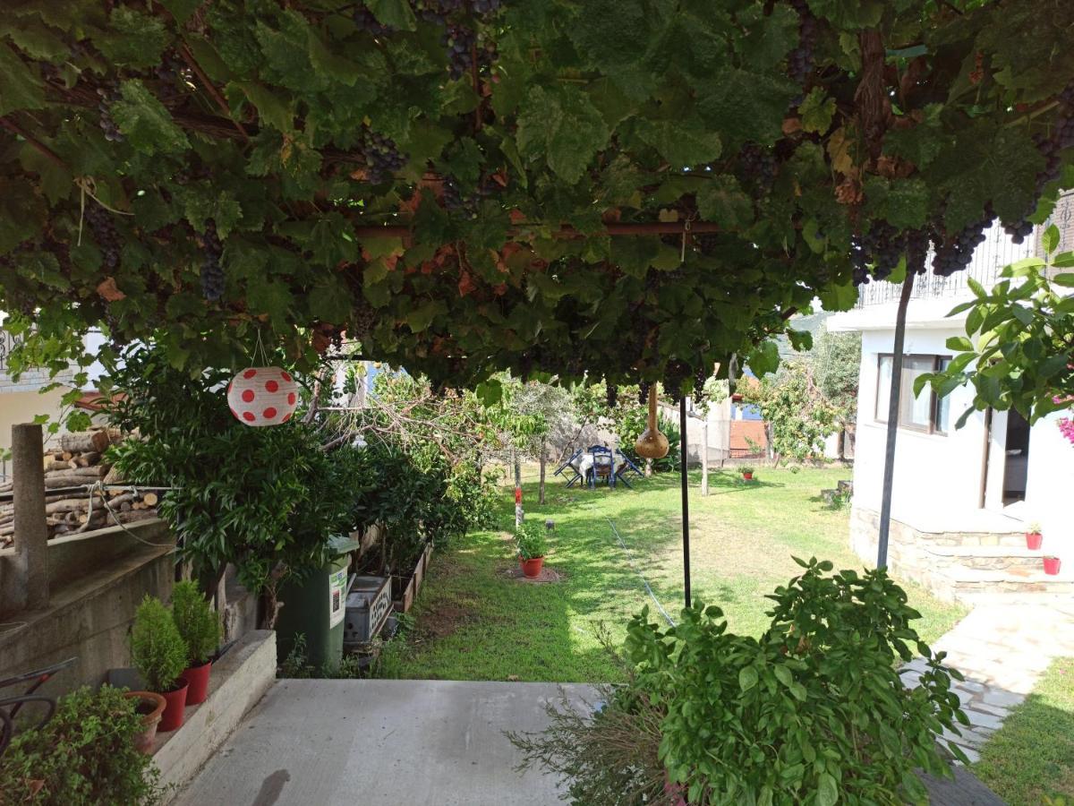 Dora'S House Comfortable Apartment With A Yard And View Pyrgadikia Exterior photo
